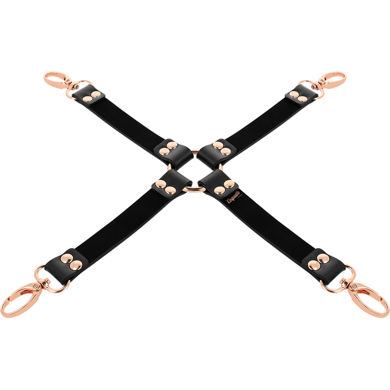 Image Cravate De Port BDSM Coquette Fantasy